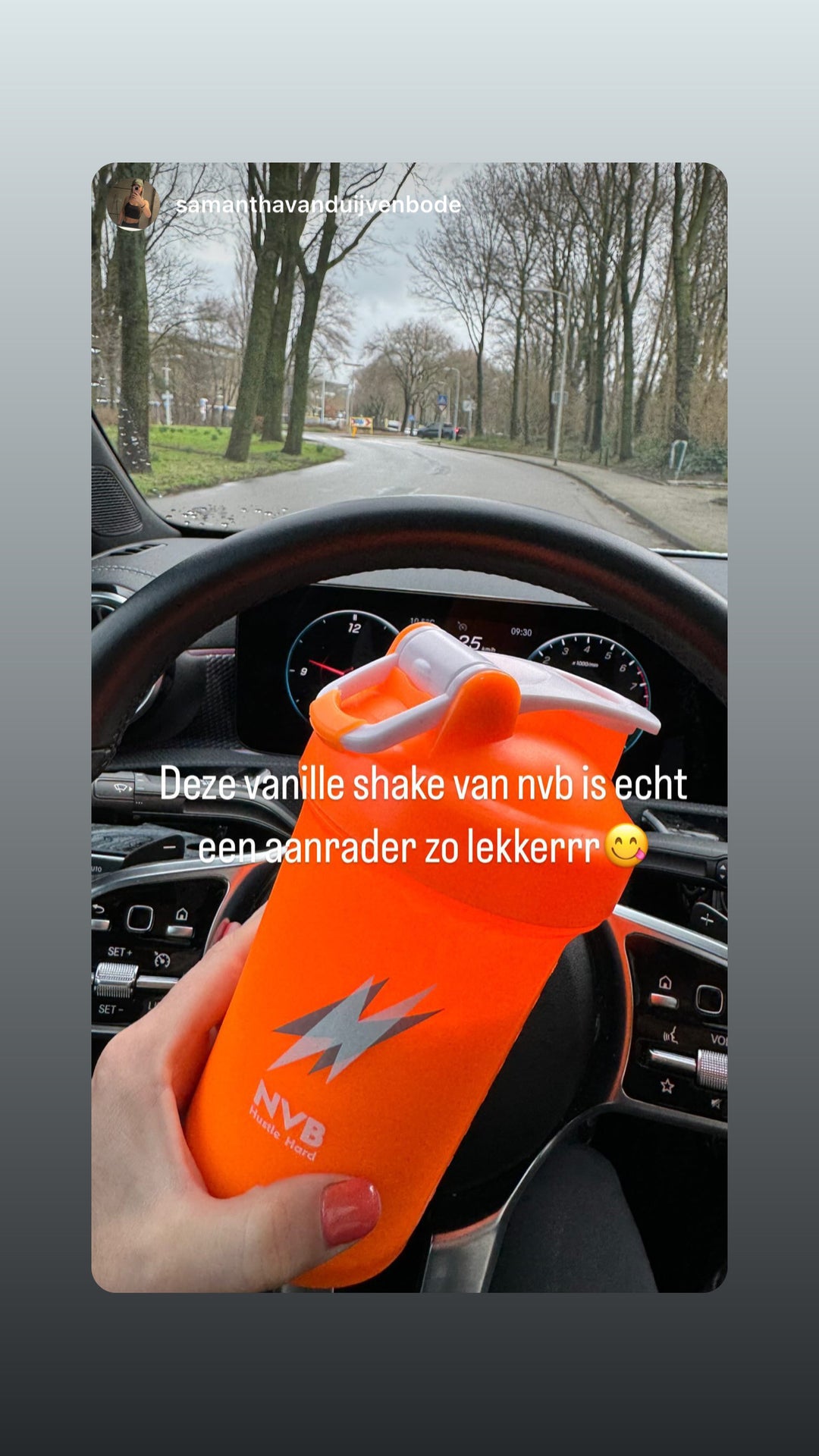 NVB Mealshake Vanille